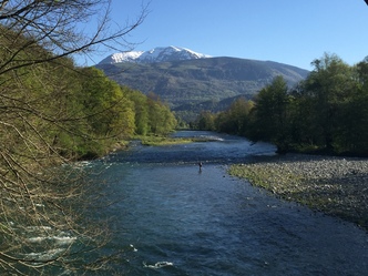 Vue depuis la piste cyclable